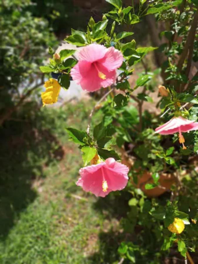 Casa Com Spa De Hidro, Aquecedor E Cromoterapia Chapada dos Guimarães Exterior foto